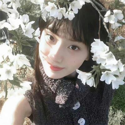 秘窗